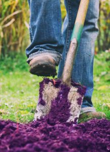 Shovel in Mulch