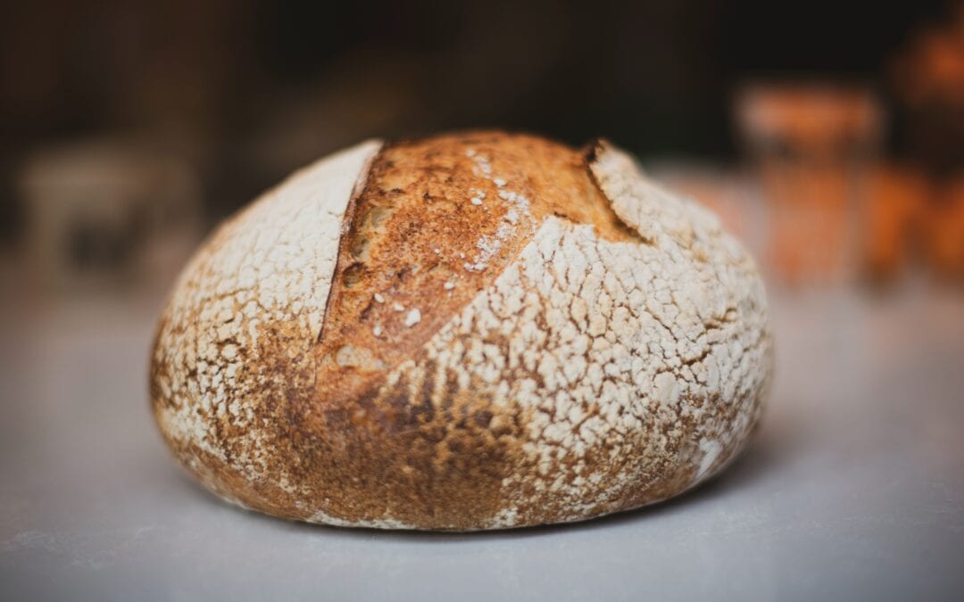 Baking With Barb – Sourdough & Sun-dried Tomatoes