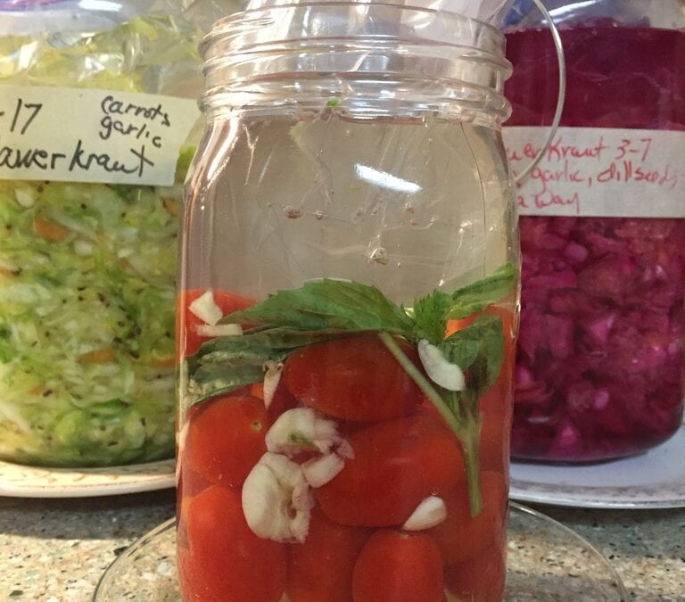 Get Cultured —  Fermentation Workshop