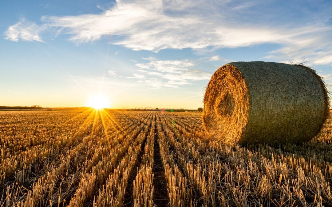 Reap The Harvest of Your Conversations